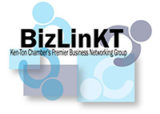 Dawn Kane Biz LinKT